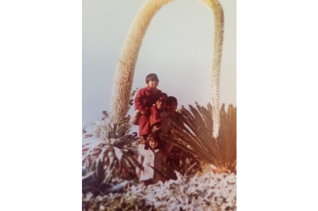 Filipino family posing together outside under a giant agave flower, circa 1970s; the father stands with one child in front of him, one to his left, and one on his back.